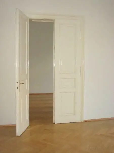 schöne Altbauflügeltüren