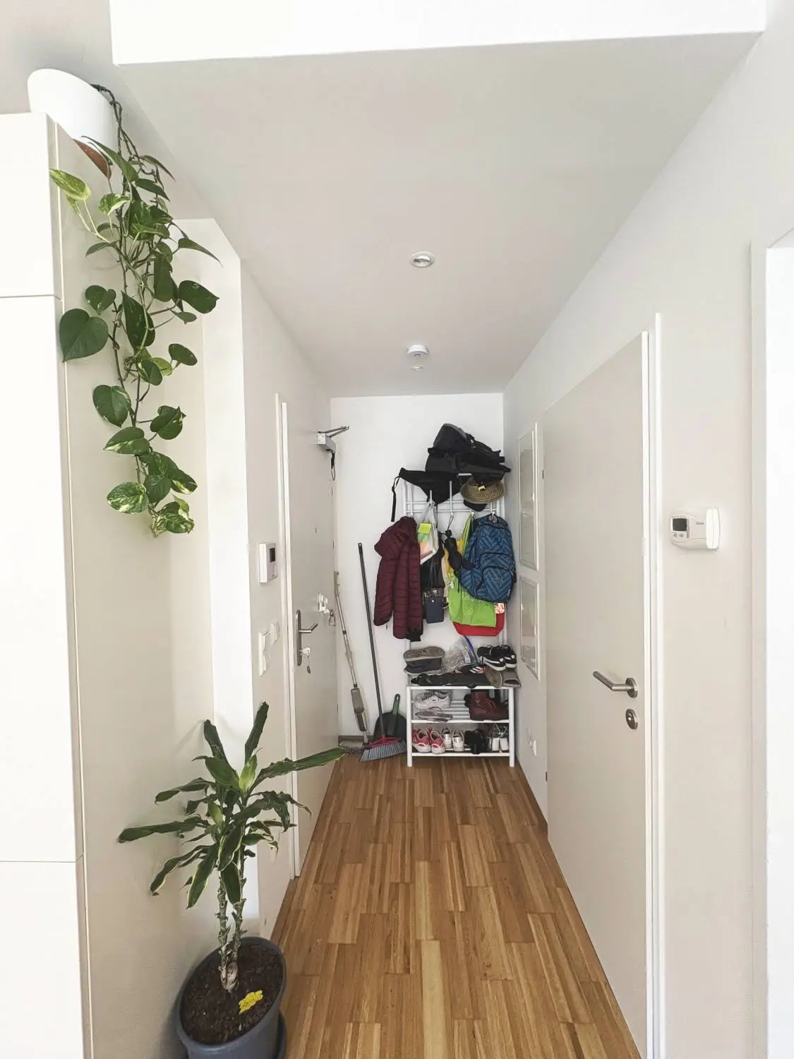 Herrliche 2-Zimmer-Terrassenwohnung in der Roseggergasse – 
perfekte Lage nahe U-Bahn Ottakring!