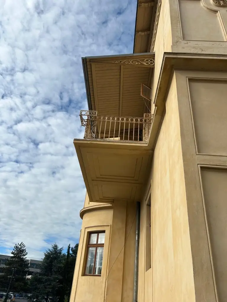 Historische Villa ALMEROTH im Stadtzentrum- Wohnen auf 250 m2 im OG plus 4 Untermieter