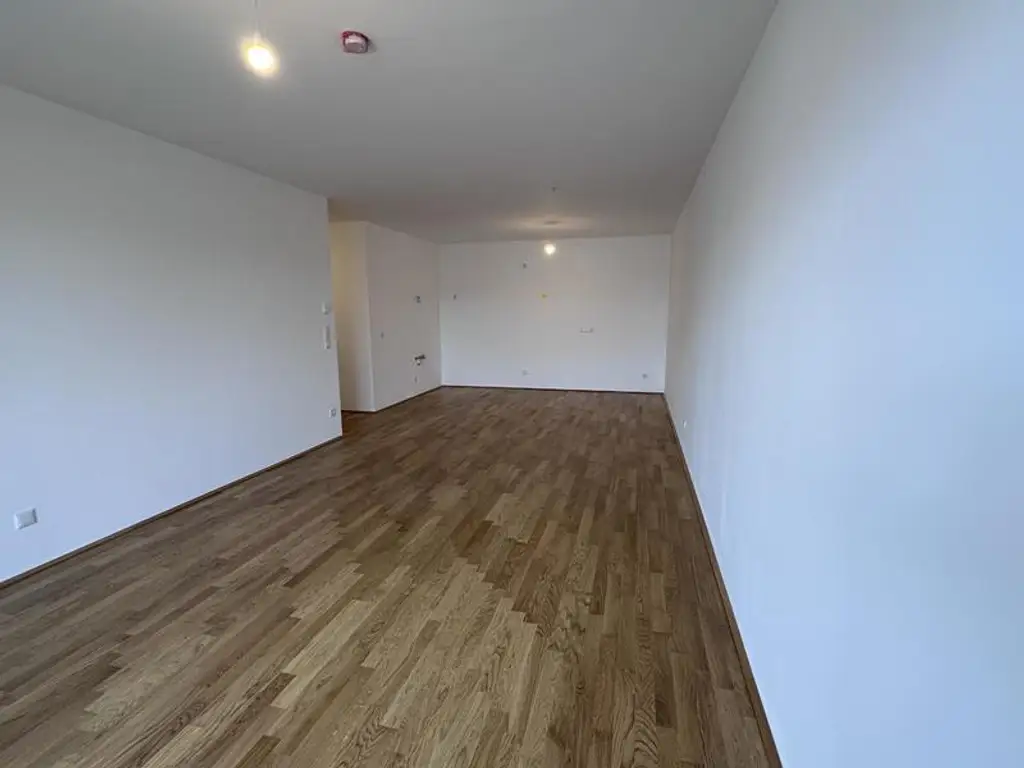 einen Katzensprung von Wien entfernt MIETE