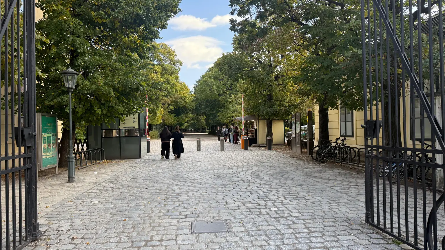 Höchste Sichtbarkeit direkt bei Schönbrunn | Ablösefreie Geschäftsfläche