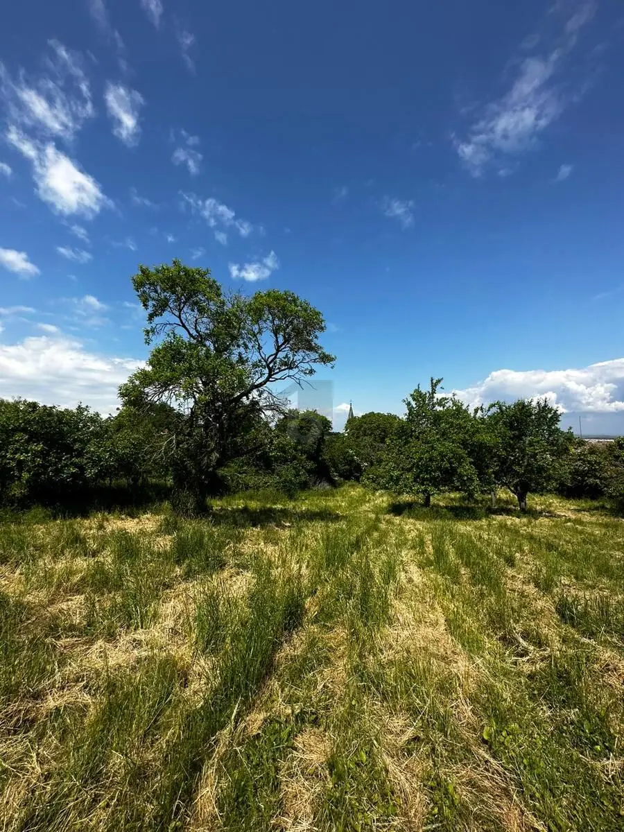 IDYLLISCHES BAUGRUNDSTÜCK: RUHEOASE MIT POTENZIAL