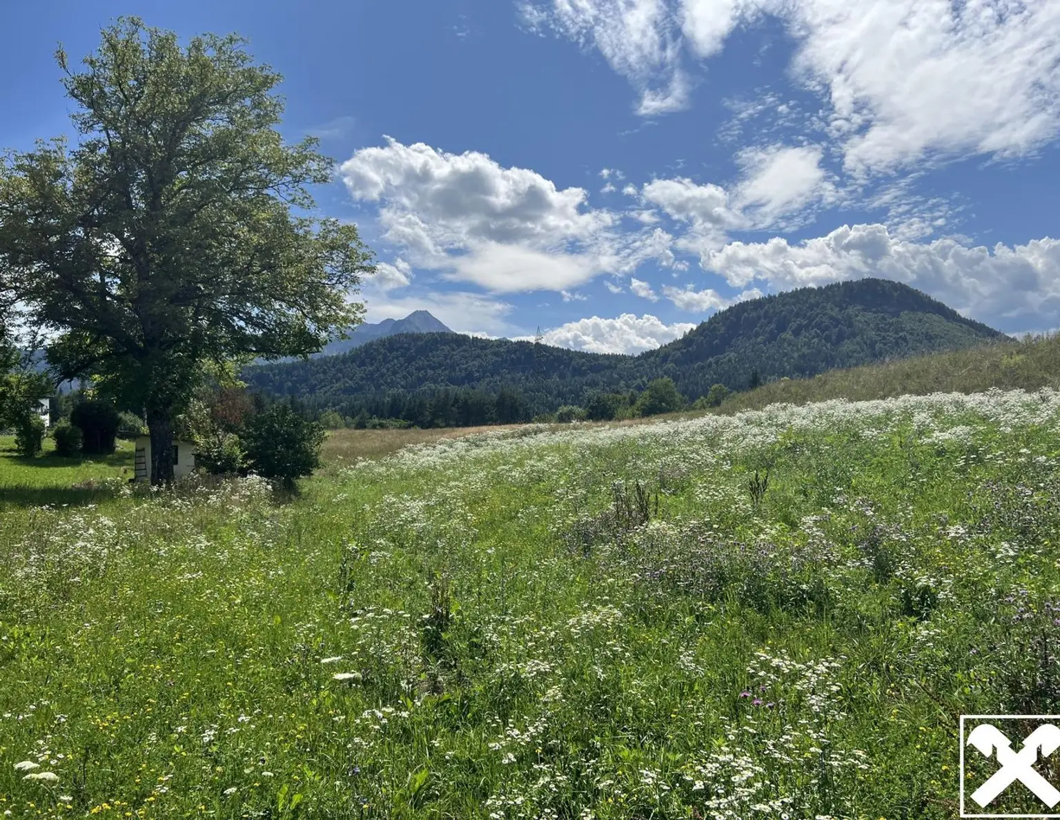 Ruhiges Idyll am Waldrand