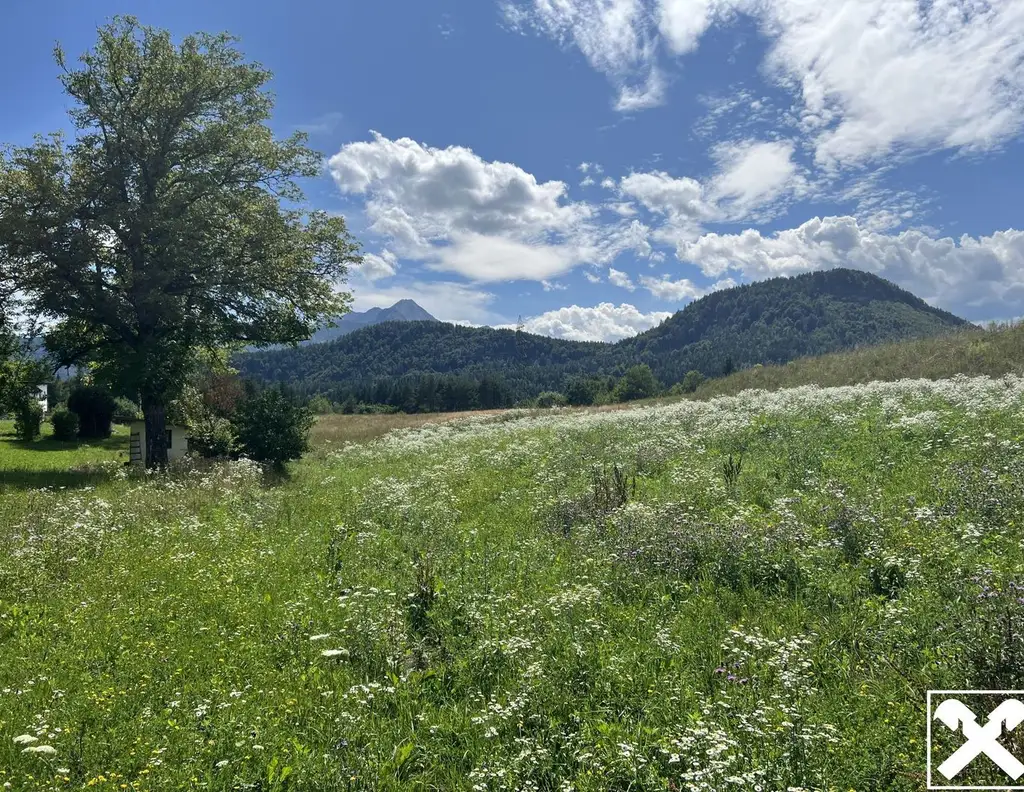 Ruhiges Idyll am Waldrand