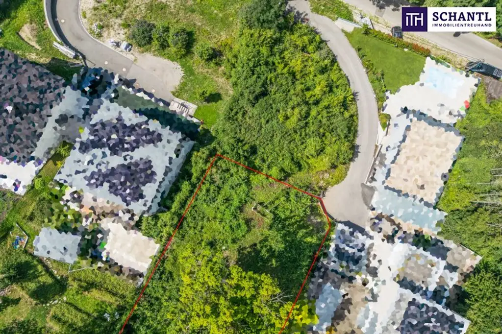 Smart Move: Investieren mit Weitblick