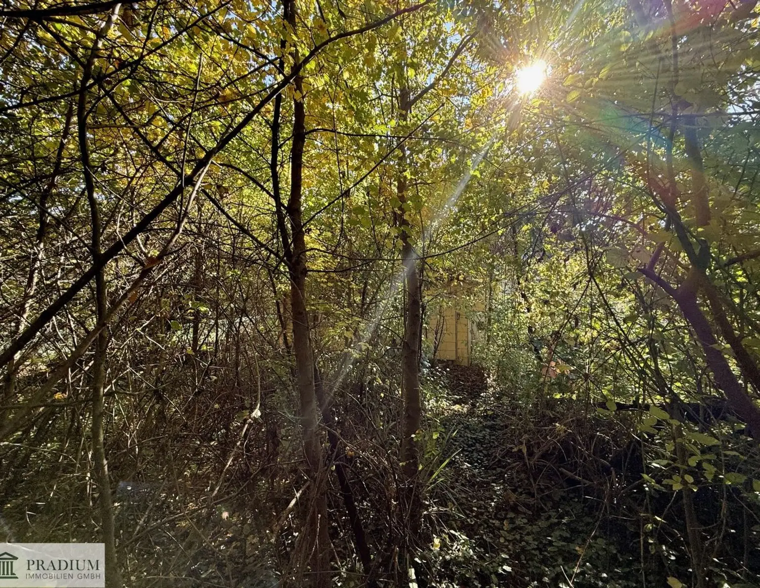 Ein Platz fürs Leben - Baugrundstück in Breitenfurt!