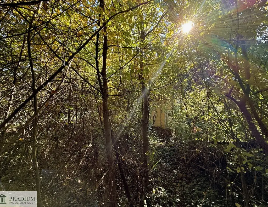 Ein Platz fürs Leben - Baugrundstück in Breitenfurt!