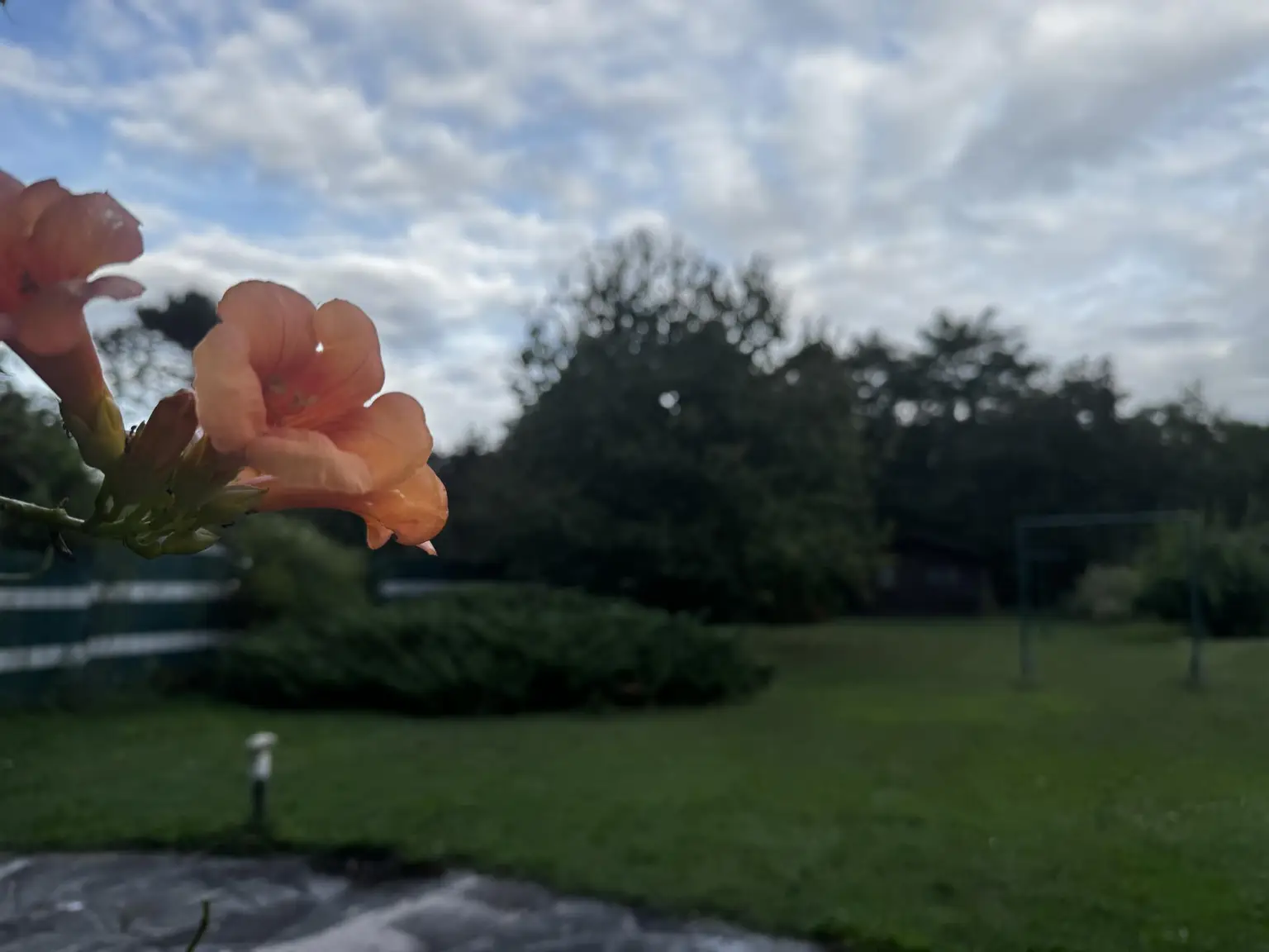 Ihr neues ZUHAUSE mit großem Garten - Wohnen  mit  Lebensqualität
