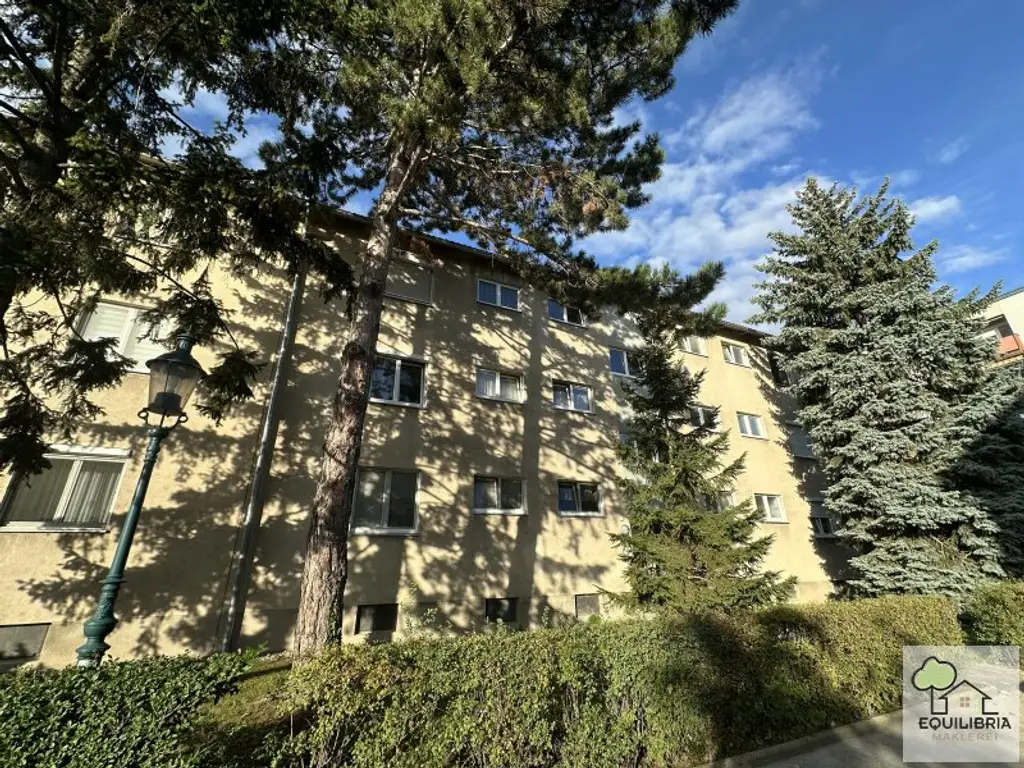 Renovierungsbedürftige 3-Zi-Wohnung Obere Stadt inkl. Stellplatz