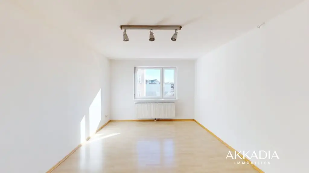 Grünblick mitten in der Josefstadt