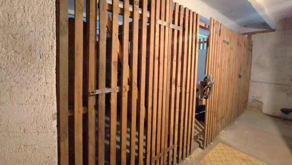 Anlage oder Eigenheim? Schöne, zentrumsnahe 2-Zimmer-Wohnung bietet beides!