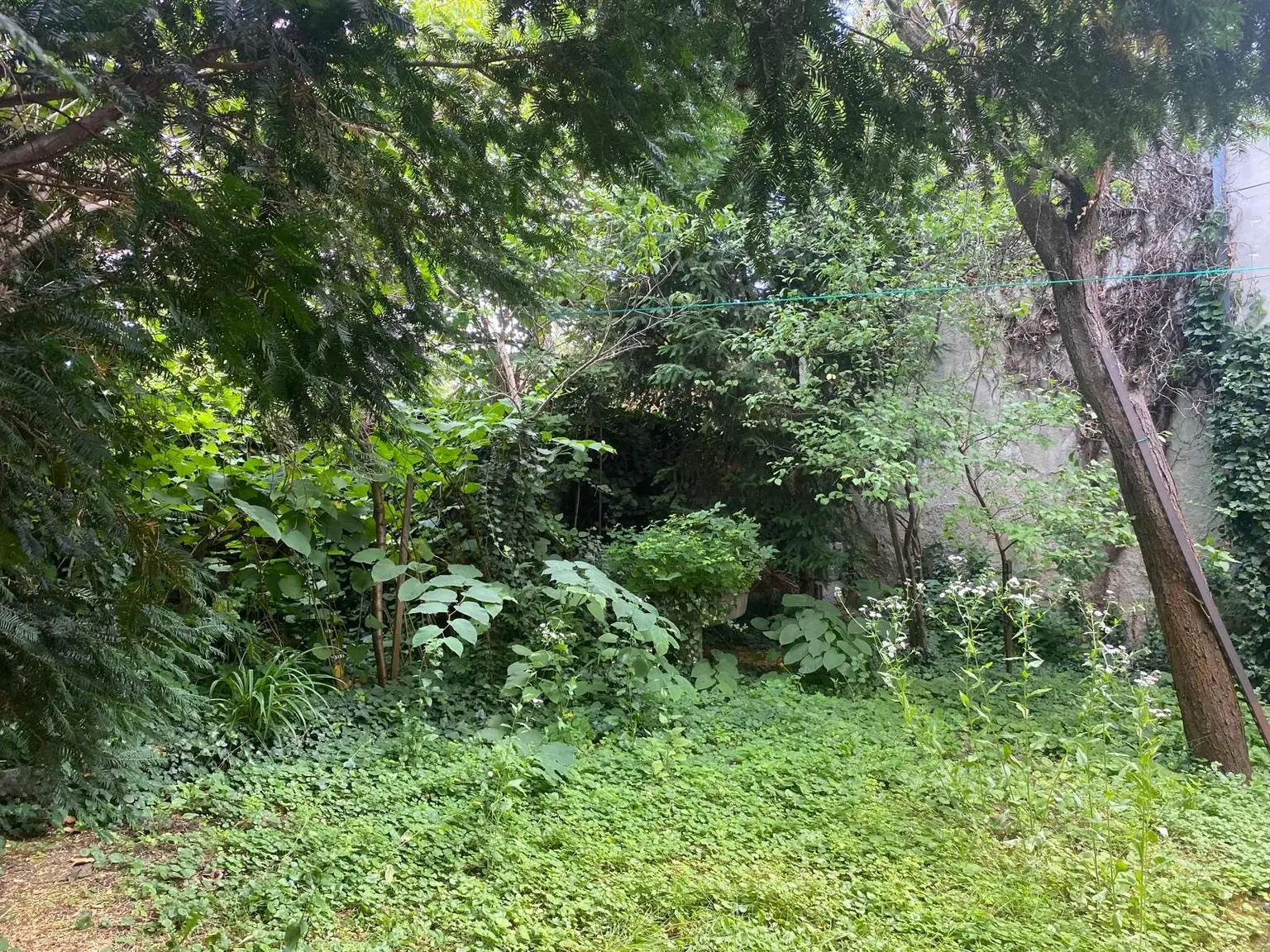 Tradition trifft Vision - Preis reduziert -sanieren & Werte schaffen