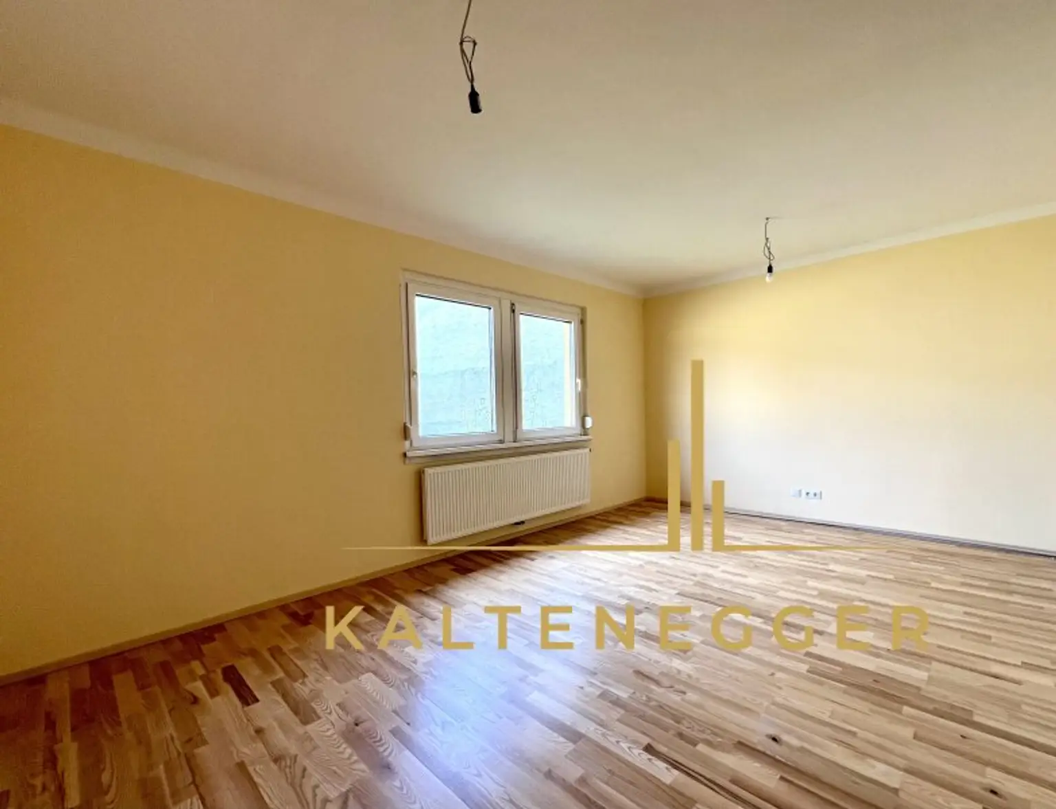 Vösendorf : Büro- und Praxisräume / Zwei sanierte Einheiten
