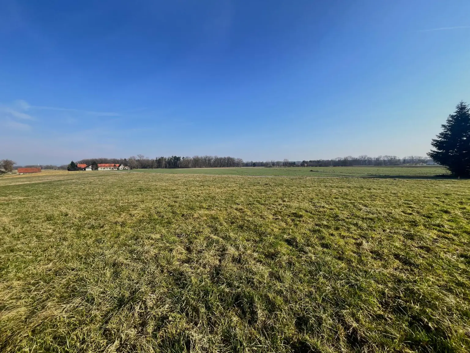 Sonniges, ebenes Baugrundstück