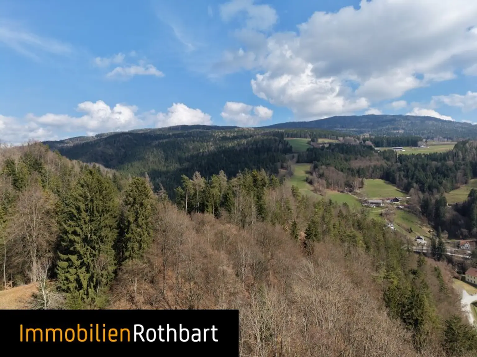 Wald mit Wiese und Zinshaus!