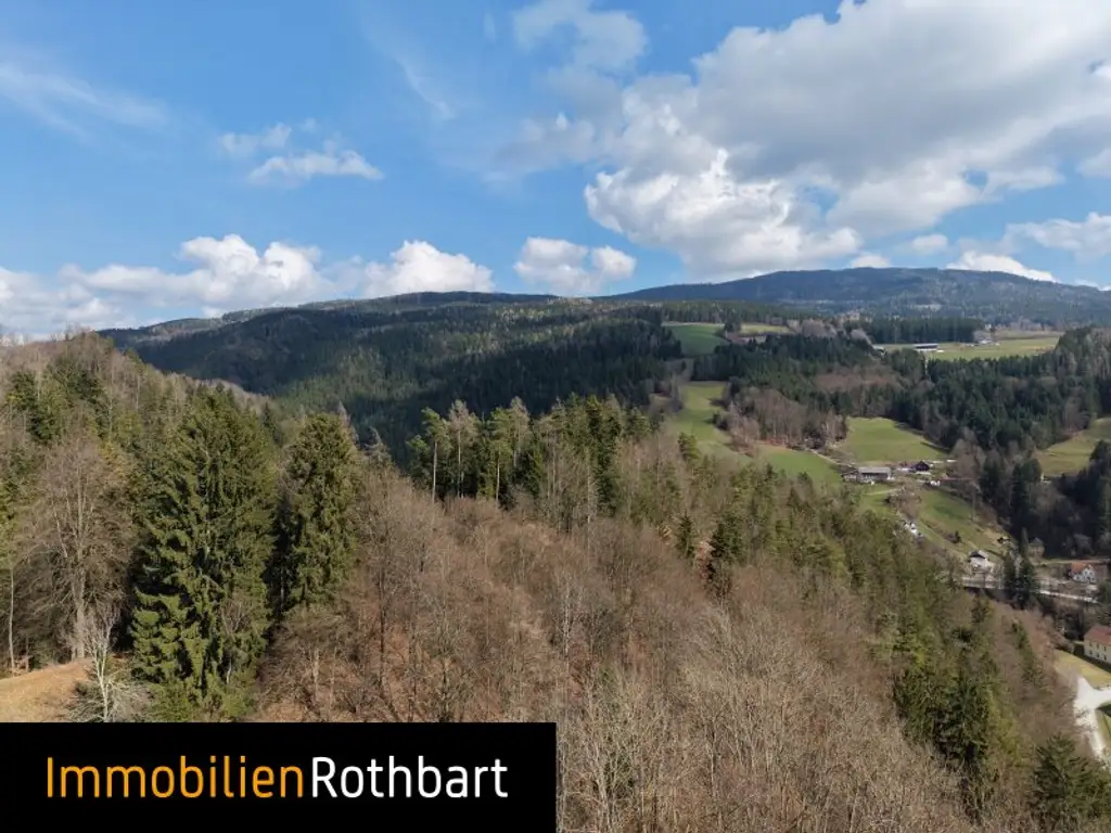 Wald mit Wiese und Zinshaus!