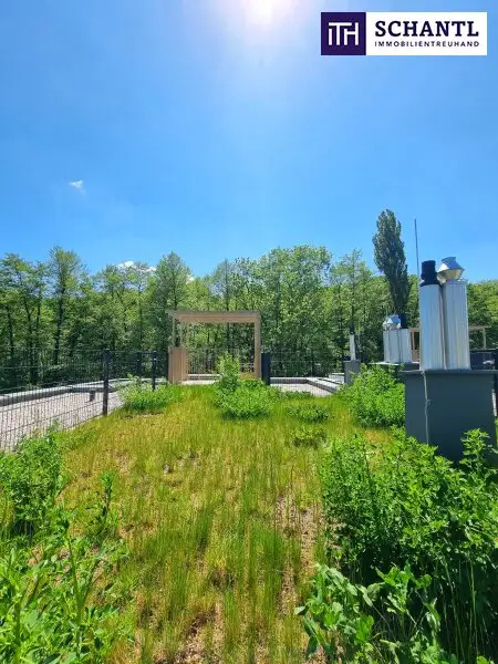RAUS INS LEBEN. REIN INS GRÜNE! Zwischen Wienerwald und Weltstadt - Lebens(t)raumerfüller im Wienerwald! 17 Traumwohnungen mit viel Freiraum!