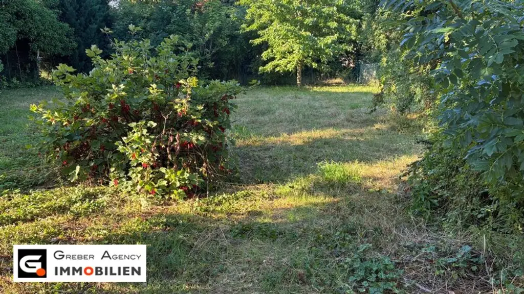 Charmantes Bauernhaus in Groß-Reipersdorf – Ihr neues Zuhause für nur 99.000 €!