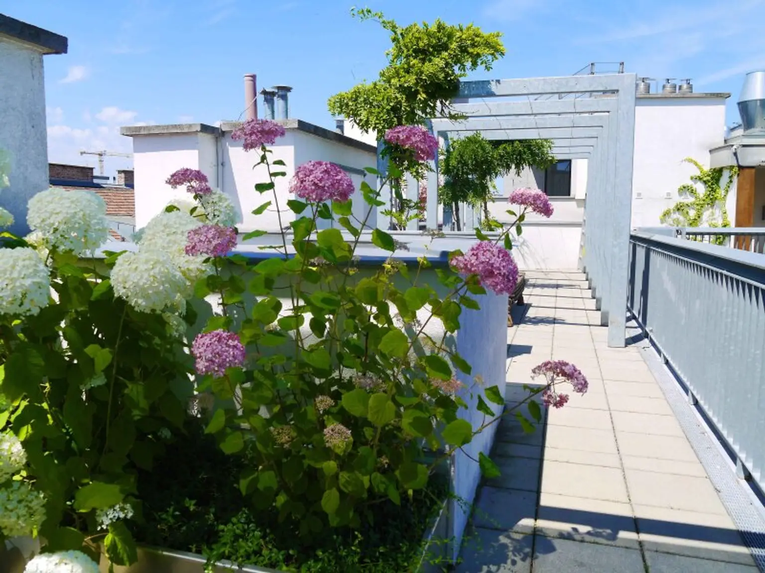 DIE PERFEKTE STADTWOHNUNG MIT GEMEINSCHAFTS-DACHTERRASSE NÄHE STEPHANSPLATZ