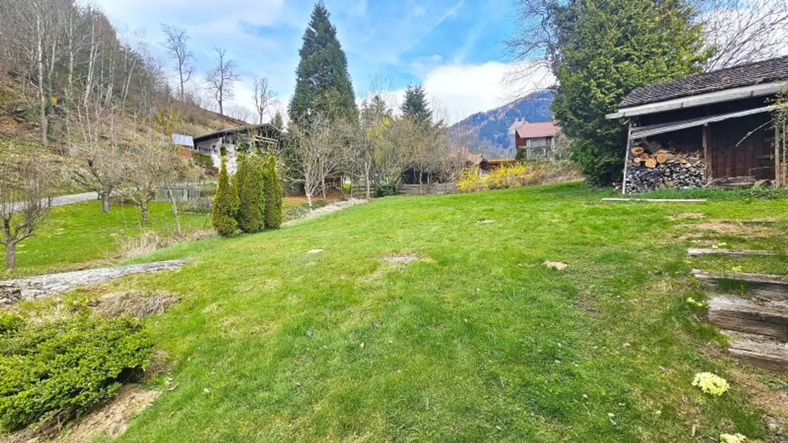 Außenansicht - Garten - Haus - Millstatt - kaufen - KI_generiert-Himmel