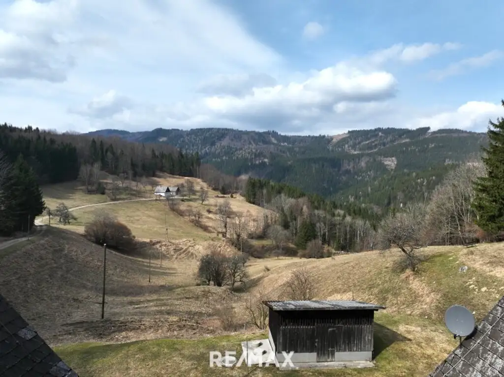Besichtigungstag, am 26. März, nur mit Voranmeldung möglich! - Gemütliches Landhaus in Alleinlage