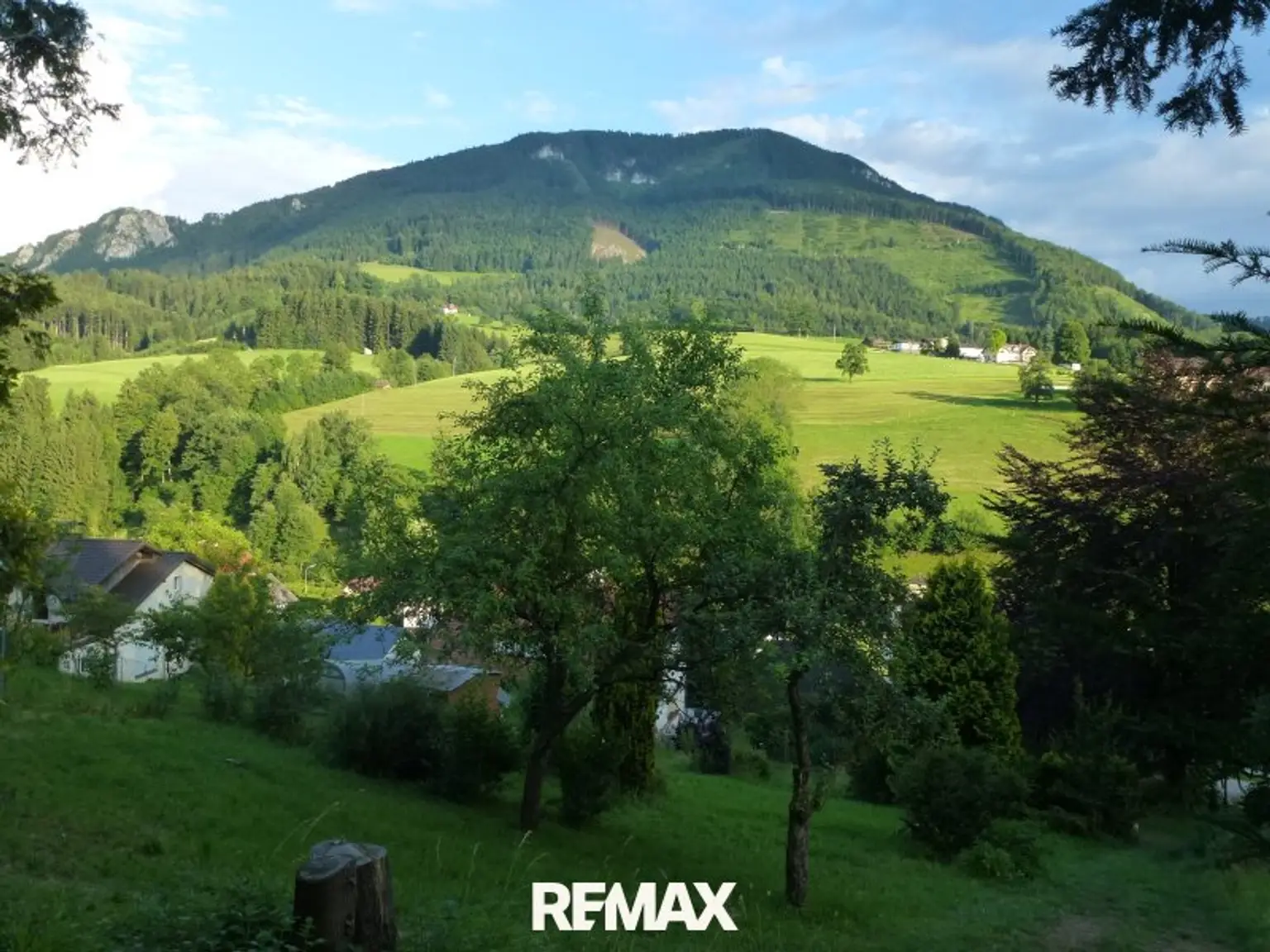 Aussicht vom Grundstück zum Prochenberg