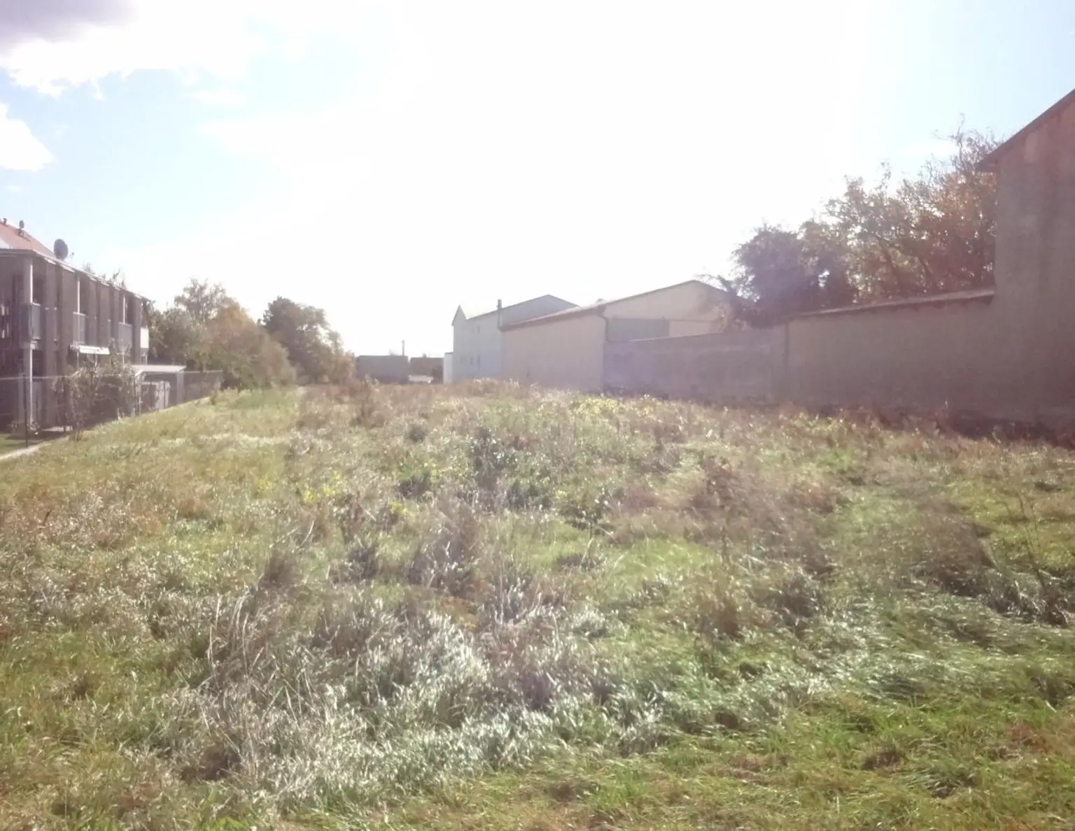 Aufgeschlossenes Grundstück in bester Lage am Ortsrand von Gols!