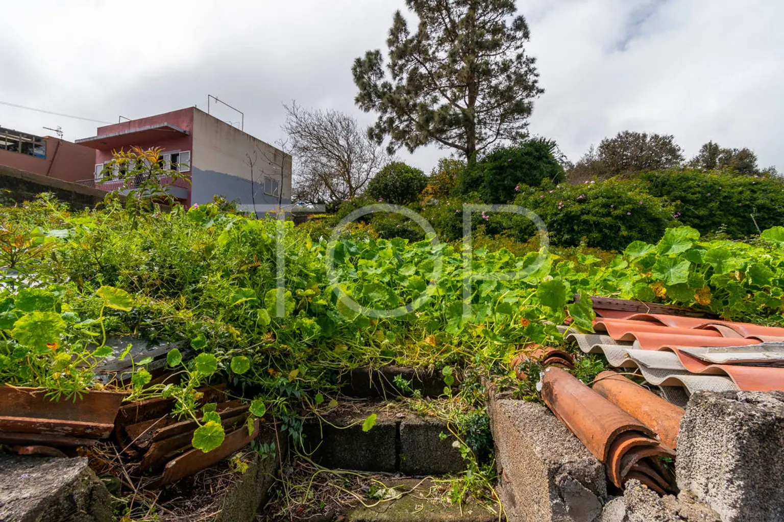 Haus-La-Esperanza-xxx-Teneriffa-19-2