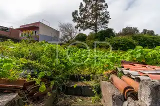Haus-La-Esperanza-xxx-Teneriffa-19-2