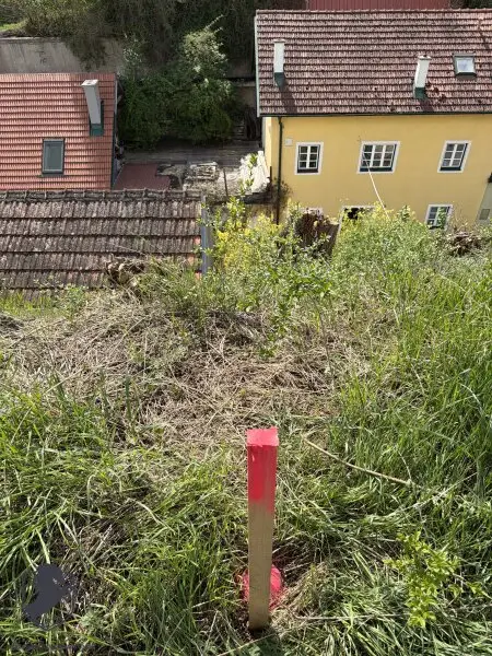 Charmantes Presshaus mit historischem Weinkeller & Entwicklungspotenzial – seltene Gelegenheit!