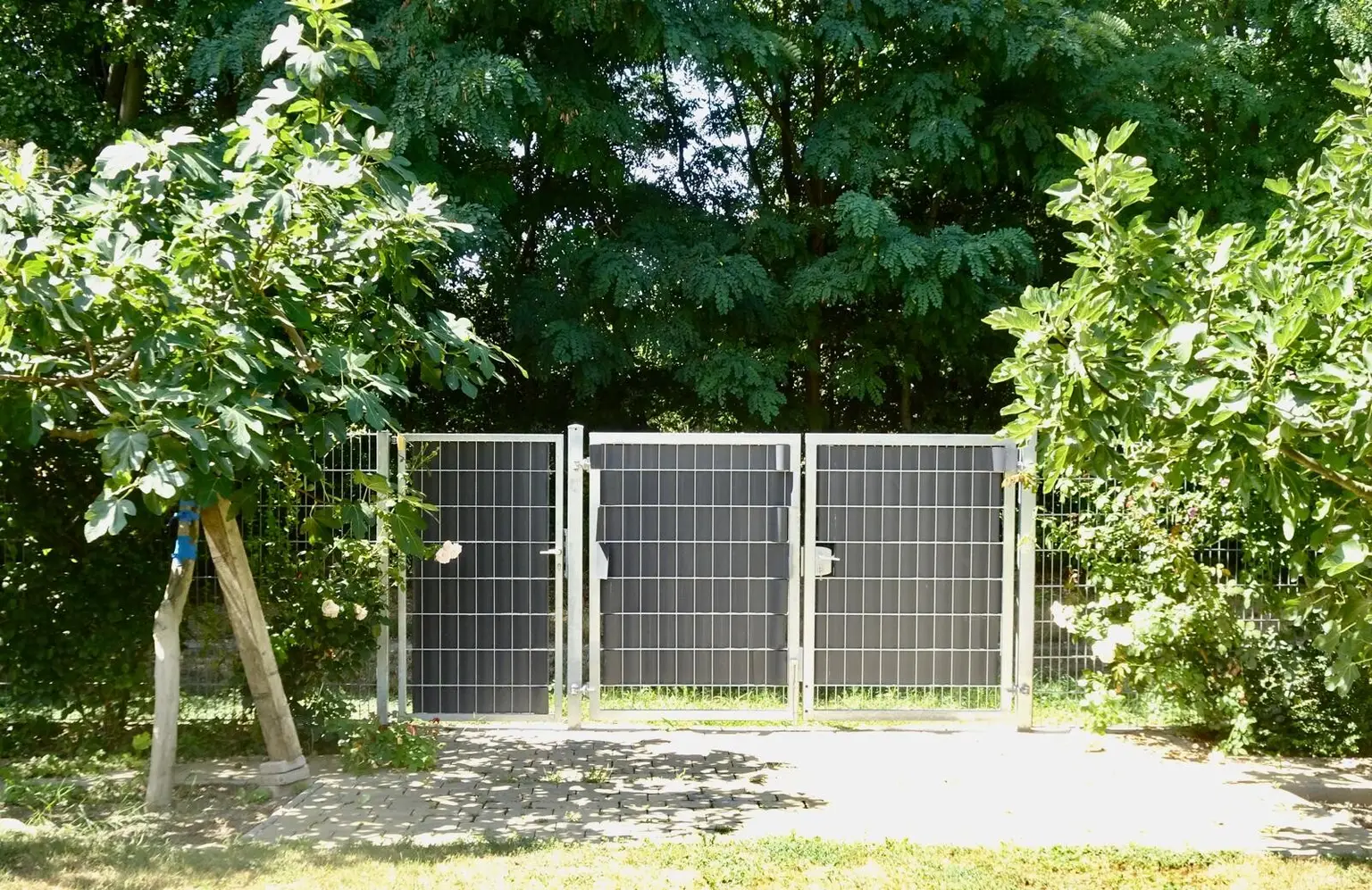 Historische Altbauvilla trifft auf modernen Luxus – Ihre private Residenz an der Leitha!