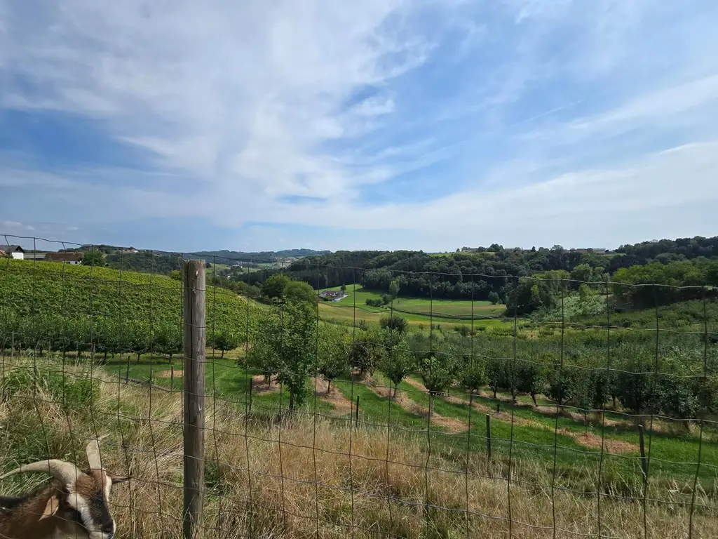 Großes Haus für Visionäre in Aussichtslage (Buschenschank, Weingärten)