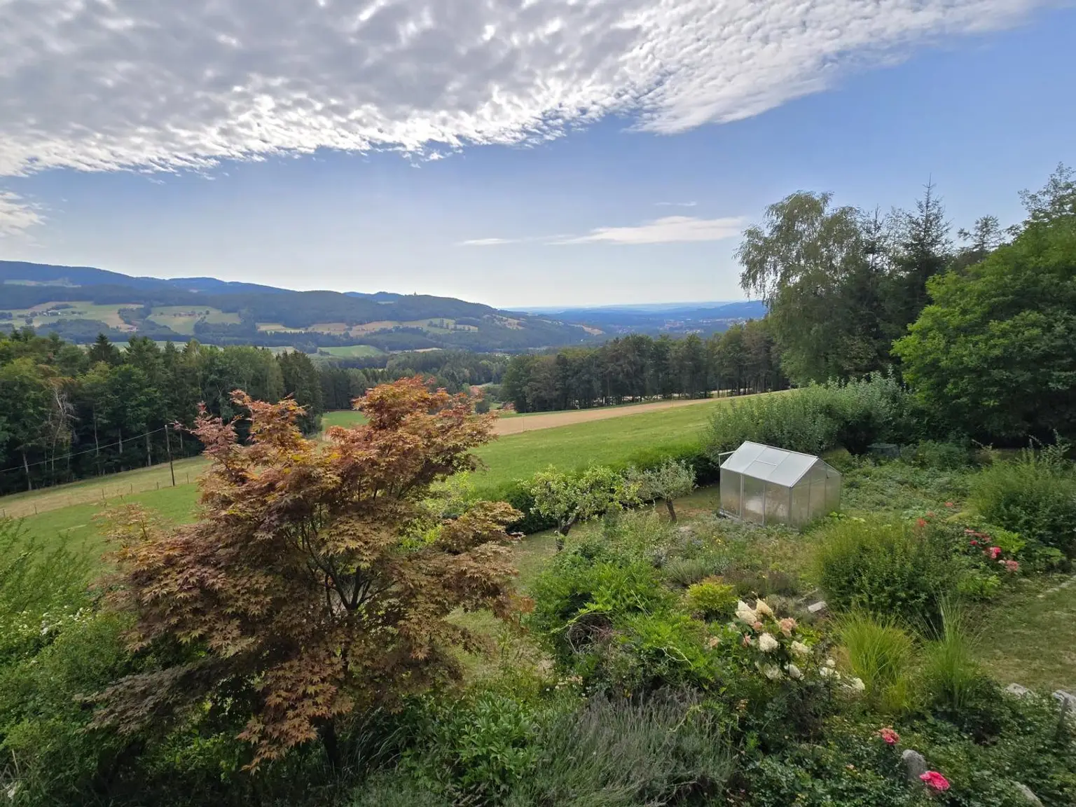 Aussicht