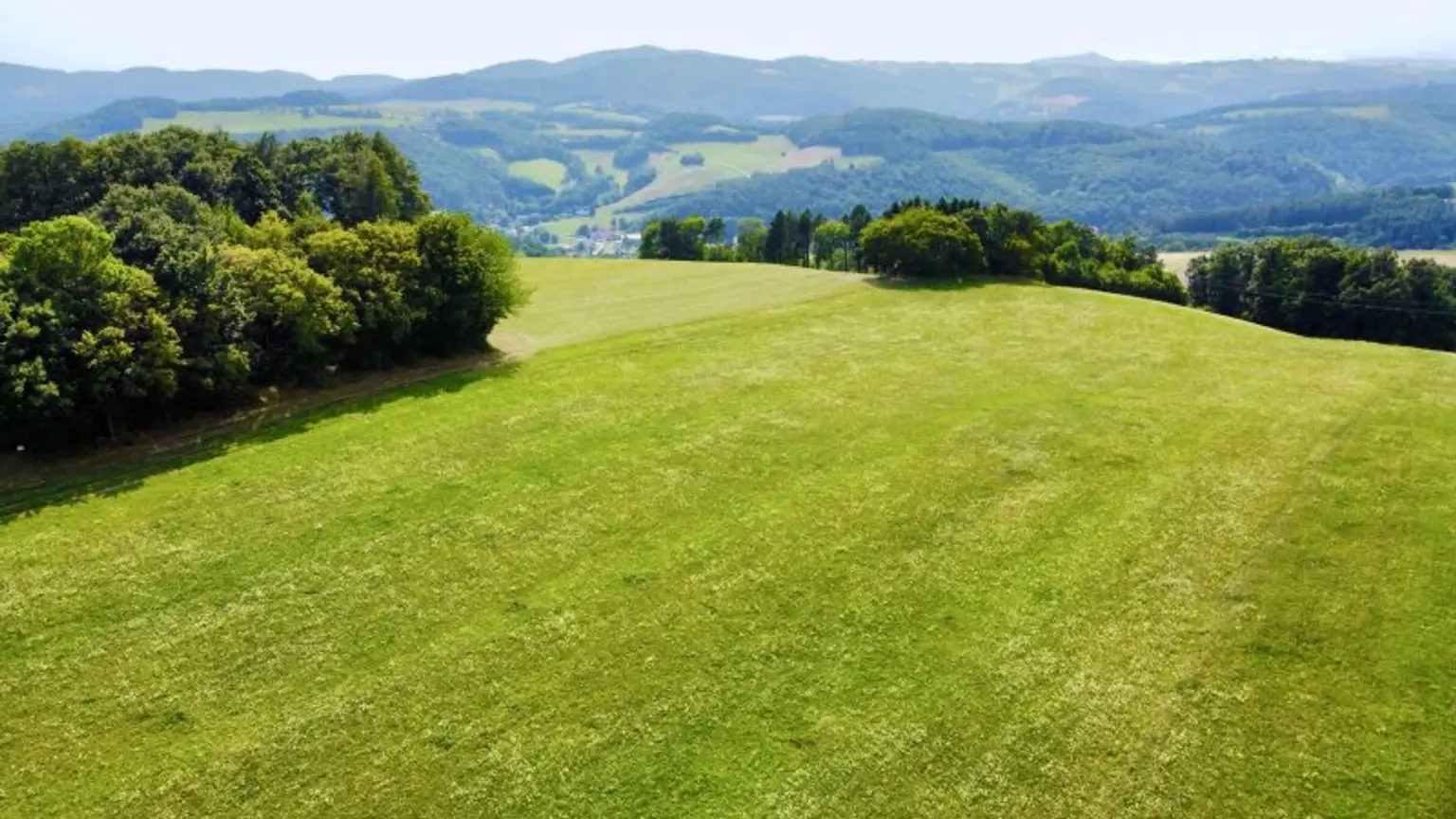 Grundstück mit Baumbestand für landwirtschaftliche Zwecke | 60.053 m² | Schwarzenbach in der Buckligen Welt