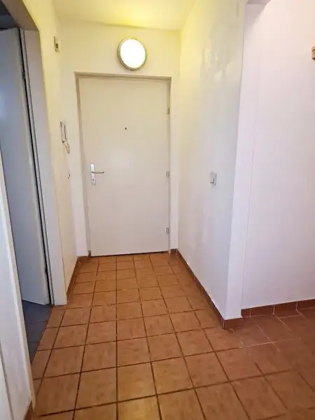 NEILREICHGASSE, sonnige 40 m2 Neubau, Einzelwohnraum, Komplettküche, Duschbad, Parketten, 1. Liftstock