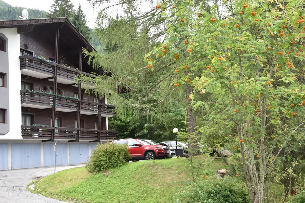 Kleine Wohnung im Grünen in Bad Kleinkirchheim