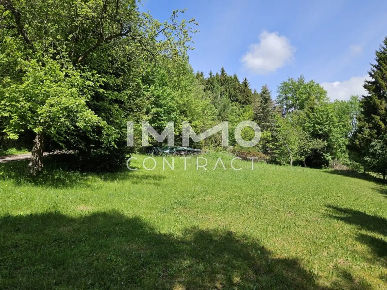 Wiese vor dem Haus