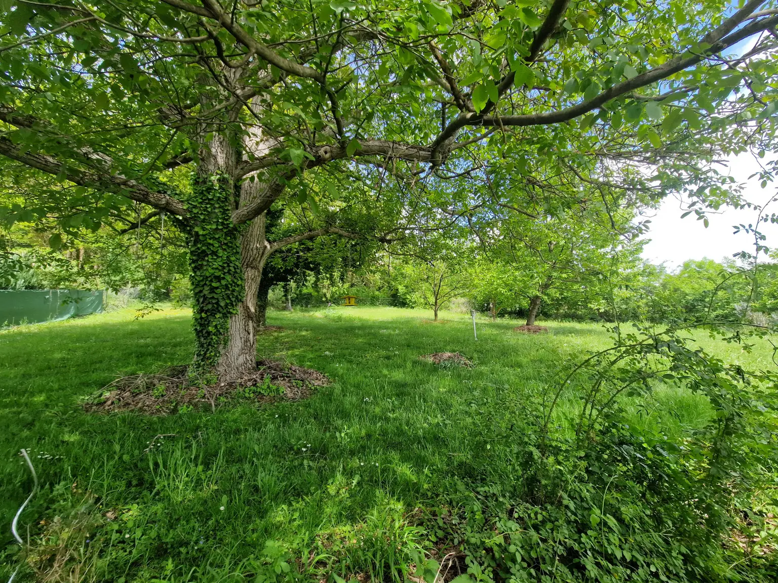 Ansicht31