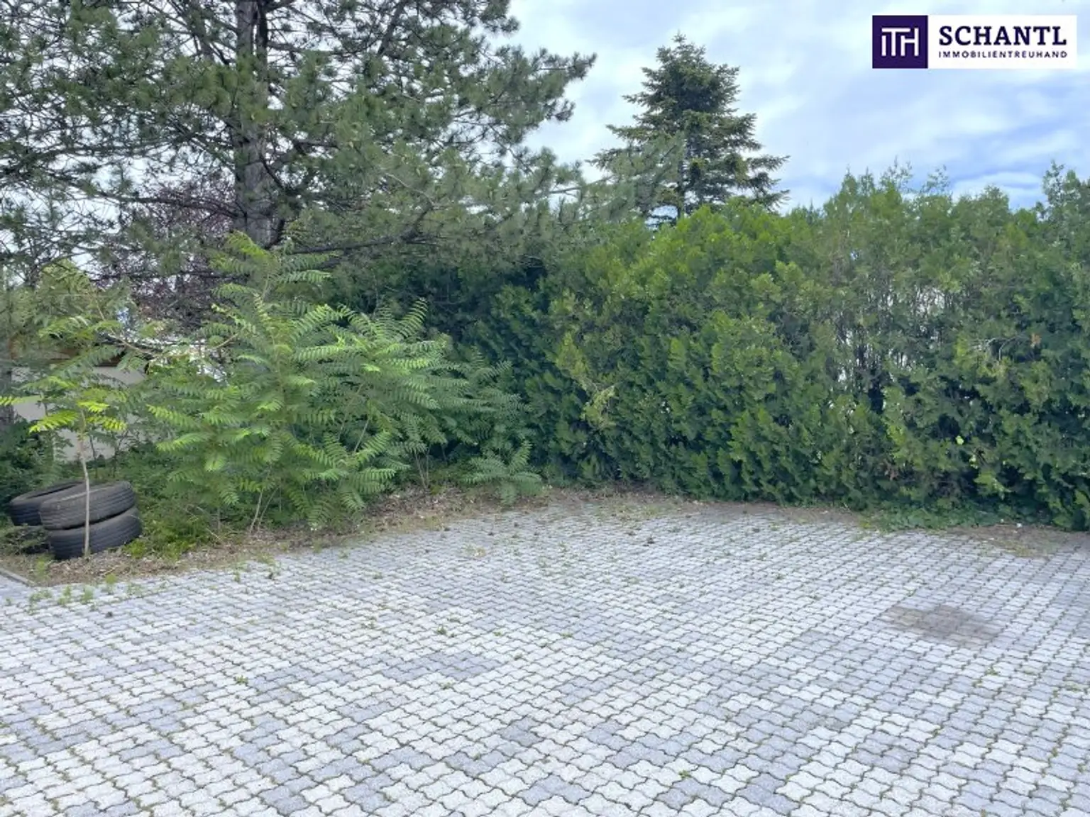 Großzügig. Hell. Ungestört. Penthouse-Feeling mit riesigen Fensterfronten und 40 m² großer Terrasse im Zentrum von Unterwaltersdorf!