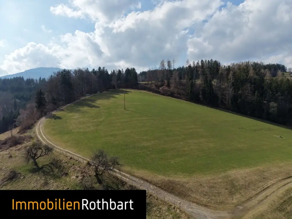 Wald mit Wiese und Zinshaus!