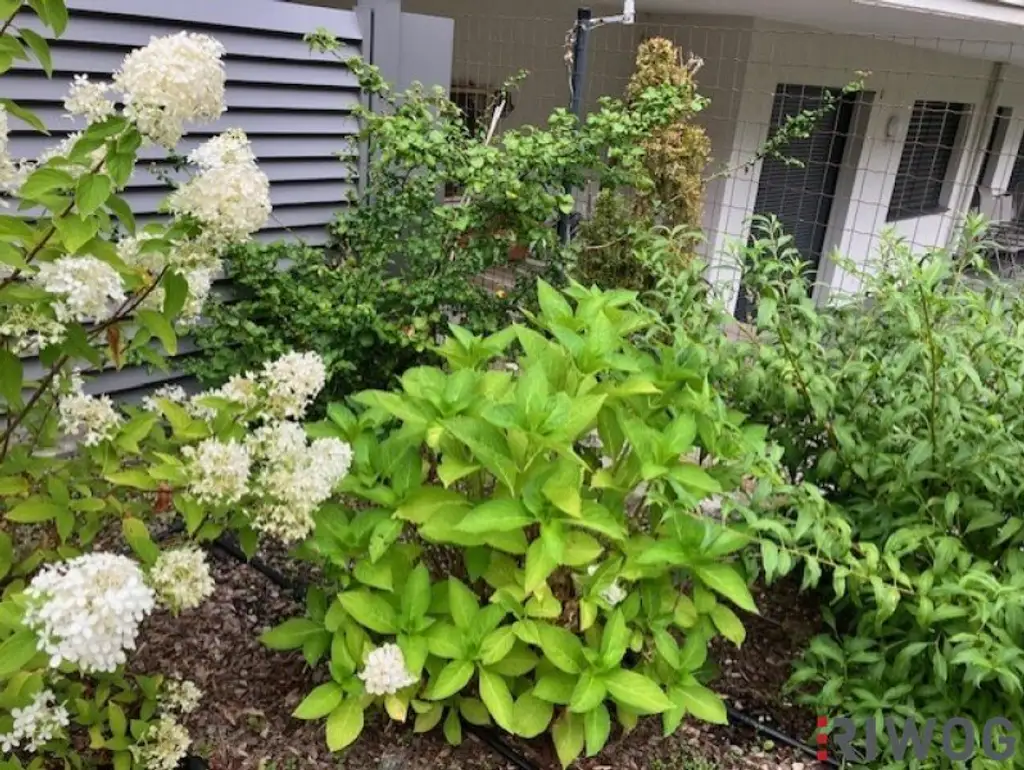 3 Zimmer-Penthouse-Wohnung mit Balkon in den grünen Innenhof gerichtet