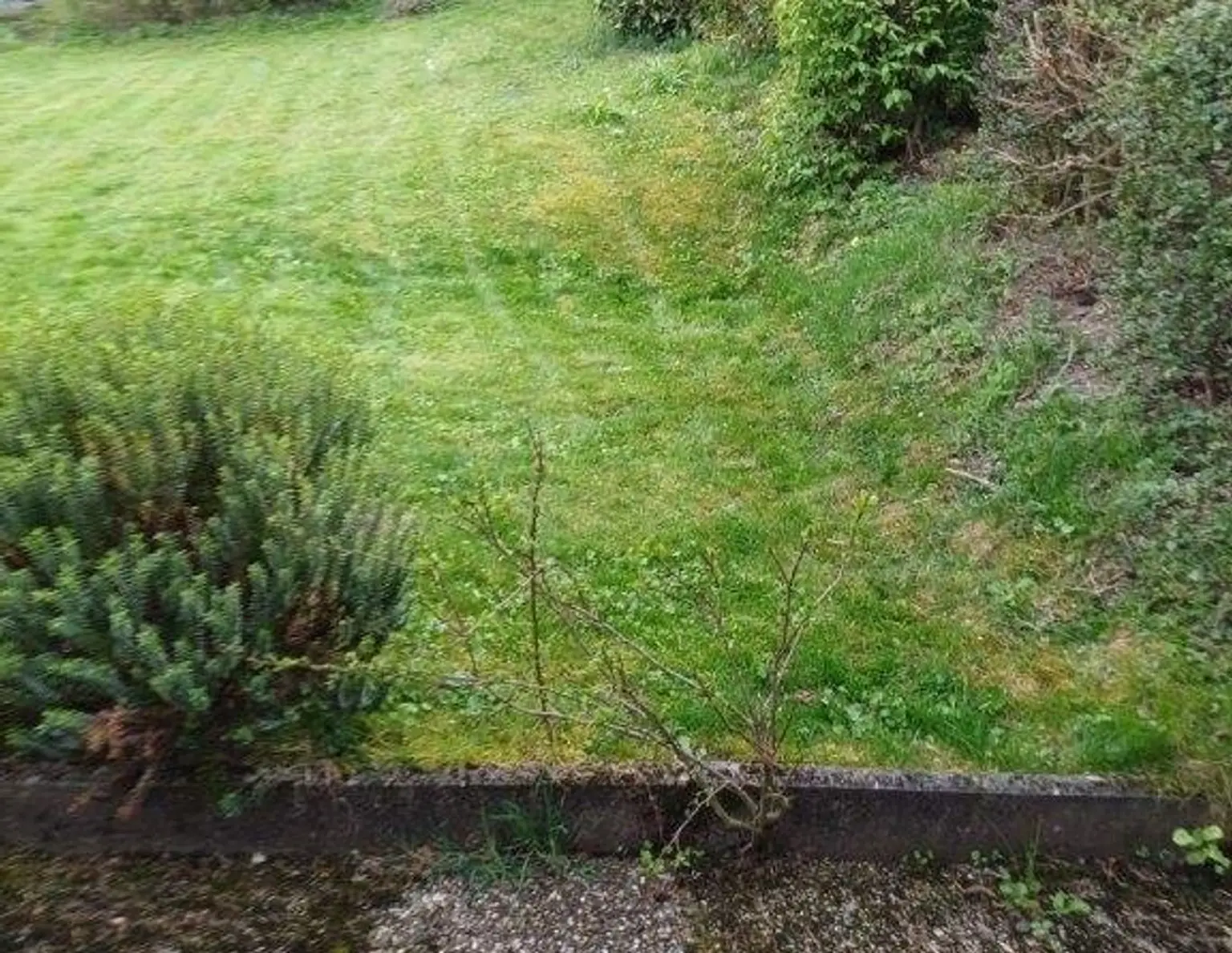 Baugrund ohne Bauzwang mit Gartenhaus zu kaufen