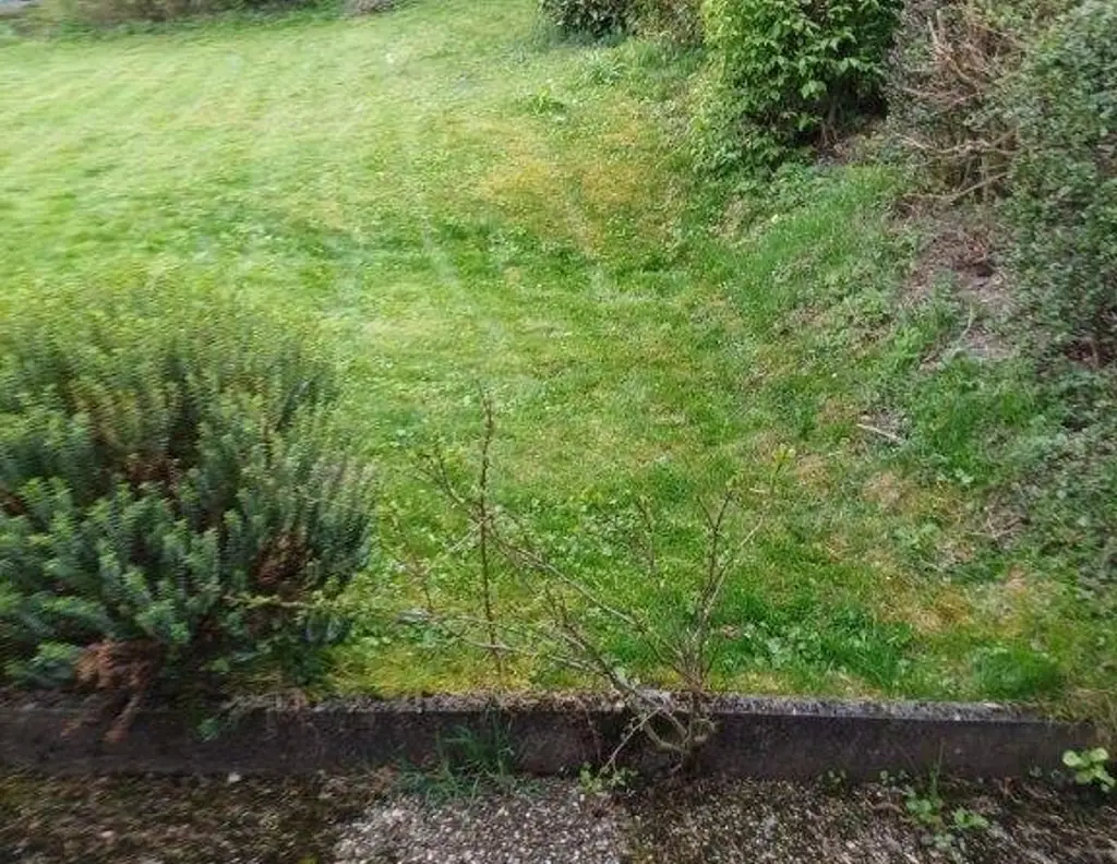 Baugrund ohne Bauzwang mit Gartenhaus zu kaufen