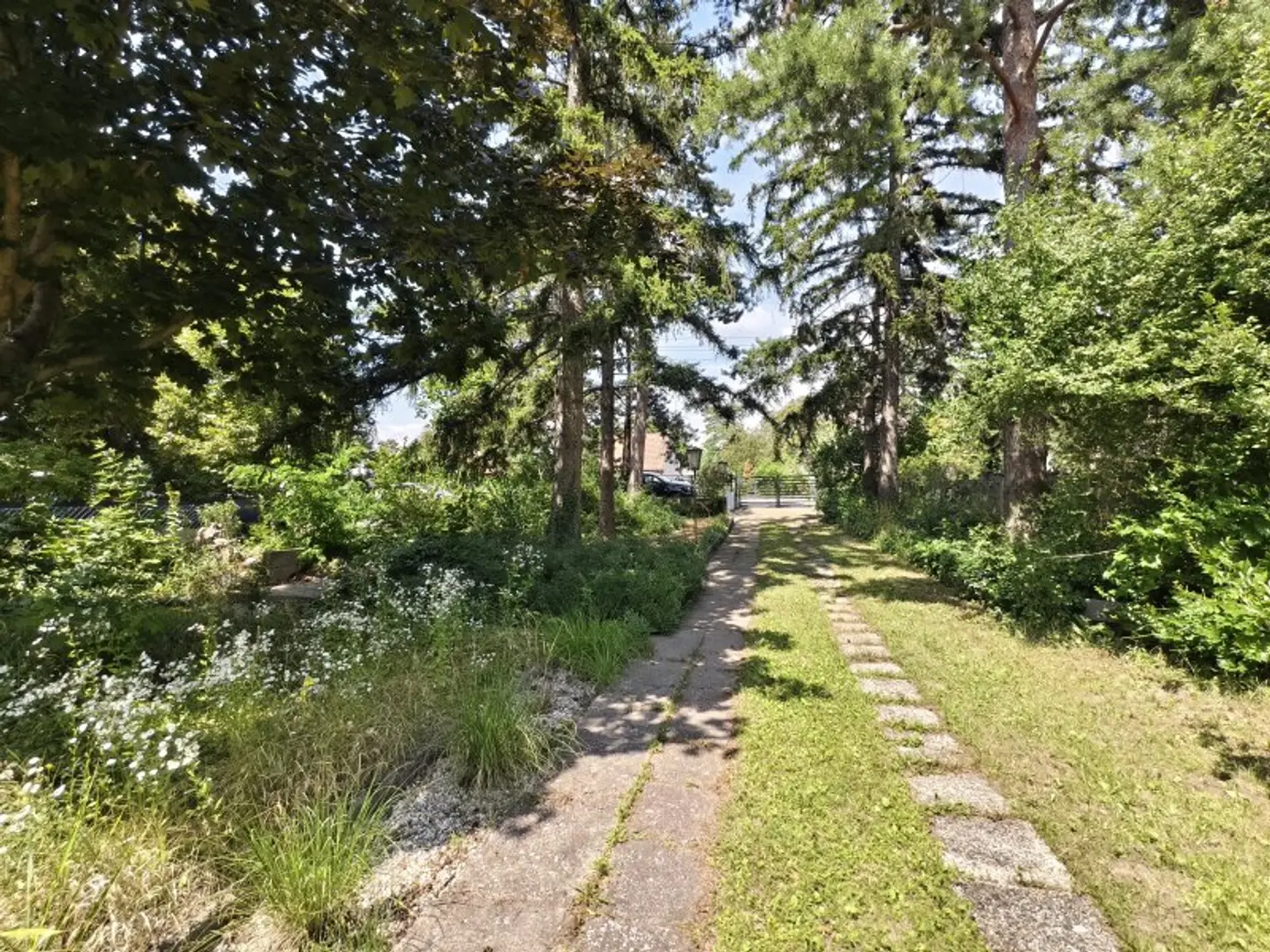 Großzügiges Baugrundstück mit viel Potential in Strasshof – Silberwald
