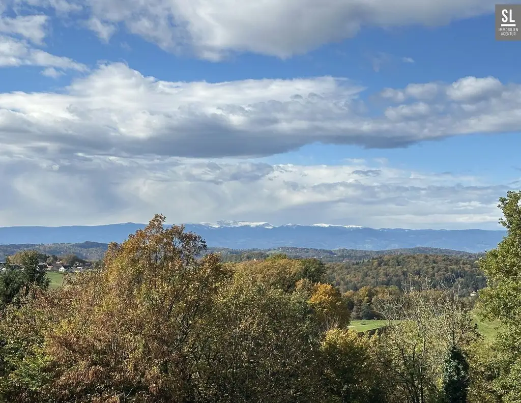 Aussichtslage - Wecken Sie das baufällige Kellerstöckl aus dem Dornröschen Schlaf! Liebevoll umgestalten oder ganz neu bauen