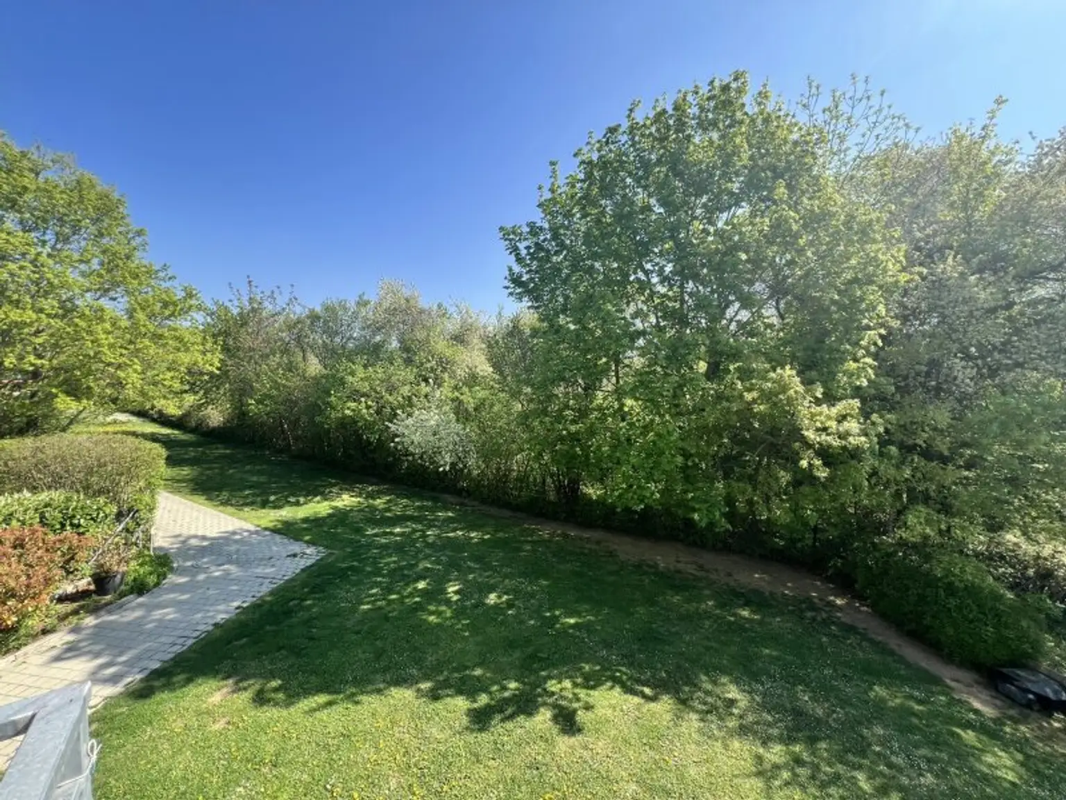 Moderne, zentrumsnahe Familienvilla mit großem Garten in gefragter Grünruhelage (!)