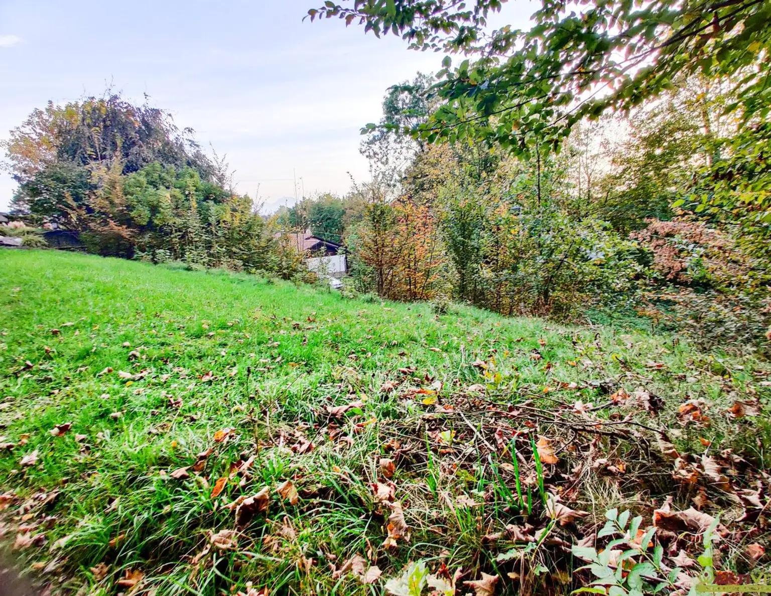 Wohnbau-Grund mit Waldanteil zentral in Lambach. - Infrastruktur und Bahn fußläufig. - Unter 15 Min. nach Wels.