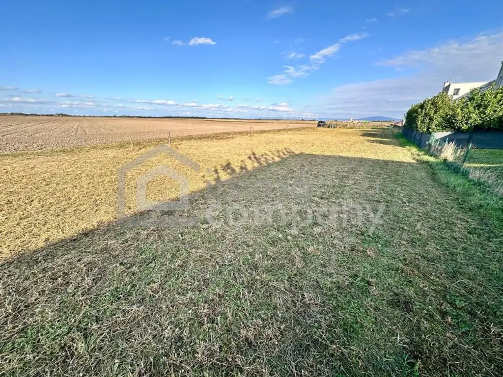 Idyllisches Freizeitgrundstück in Pframa: 150m² Garten mit Grünblick, nur 450 € pro Jahr Miete!