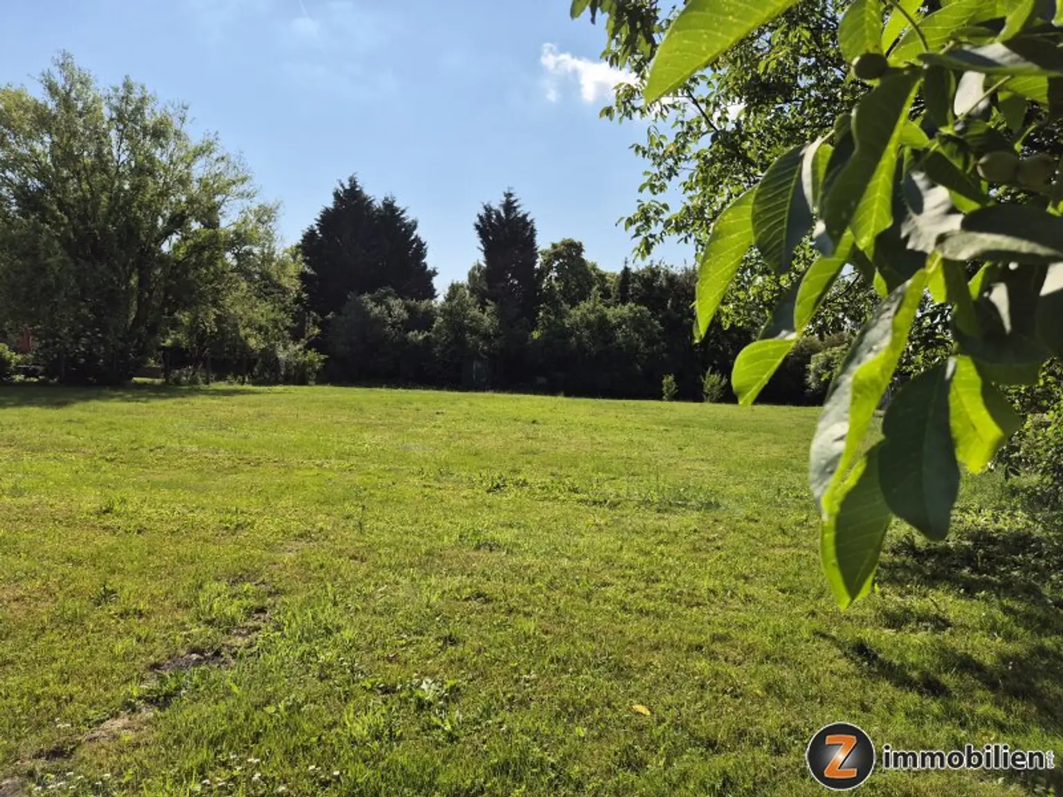 Blick in den Garten
