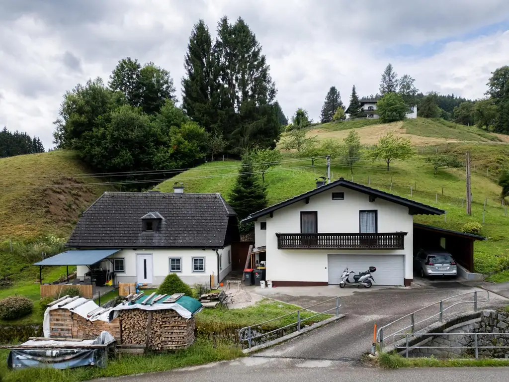 Traunsee - Altmünster - Reindlmühl,  Natur pur etwas abseits des Trubels